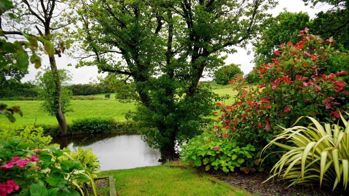 Eco-Friendly Landscaping Tips for Water-Conscious Households